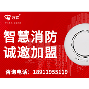 heat test cartridge without chemical reaction - China Made Smoke Detector Tester Alternative | Wanli